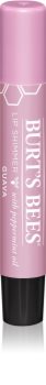Burt’s Bees Lip Shimmer lesk na rty