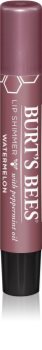 Burt’s Bees Lip Shimmer sijaj za ustnice