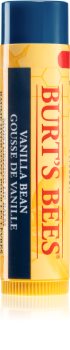 Burt’s Bees Lip Care vlažilni balzam za ustnice z vanilijo