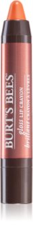 Burt’s Bees Glossy Lip Crayon barra de labios con brillo intenso en lápiz