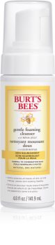 Burt’s Bees Skin Nourishment posvetlitvena čistilna pena za normalno do mešano kožo