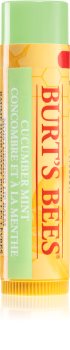 Burt’s Bees Lip Care balsamo labbra