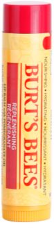 Burt’s Bees Lip Care bálsamo labial reparador