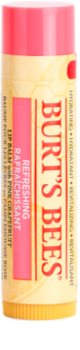 Burt’s Bees Lip Care Refreshing Balm for Lips