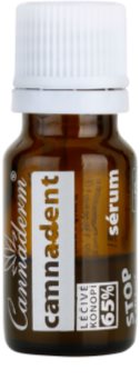 Cannaderm Cannadent Regenerating Serum Atjaunojošs serums aftu un nelielu mutes dobuma traumu gadījumā