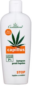 Cannaderm Capillus Anti-Dandruff Shampoo šampūnas nuo pleiskanų su kanapių aliejumi