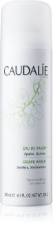 Caudalie Cleaners&Toners освежаваща вода в спрей за всички видове кожа, включително и чувствителна