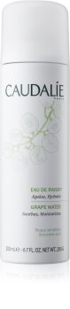 Caudalie Cleaners & Toners Erfrischendes Wasser im Spray für alle Hauttypen, selbst für empfindliche Haut