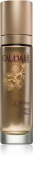 Caudalie Premier Cru creme de dia refirmante para rugas profundas