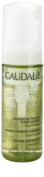 Caudalie Cleaners&Toners pjena za čišćenje