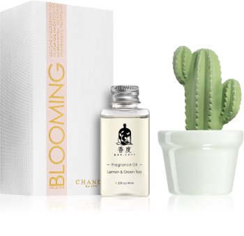 Chando Blooming Lemon & Green Tea aróma difúzor s náplňou