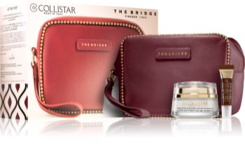 Collistar Pure Actives Elastin Silk-Cream kozmetični set I. za ženske