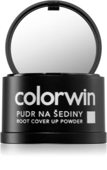 Colorwin Powder puder do włosów do objętości i maskowania siwizny