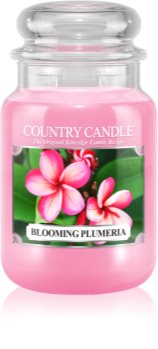 Country Candle Blooming Plumeria illatos gyertya