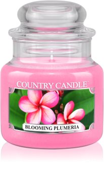 Country Candle Blooming Plumeria geurkaars