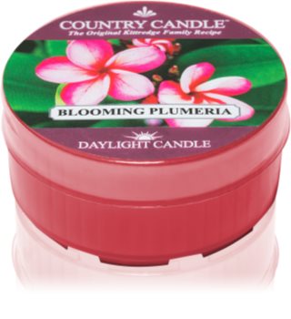 Country Candle Blooming Plumeria vela do chá