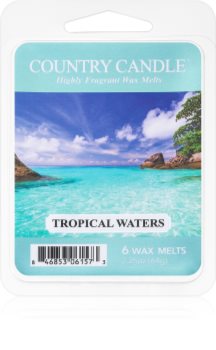 Country Candle Tropical Waters wax melt