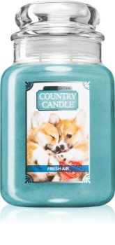 Country Candle Fresh Air Puppy scented candle