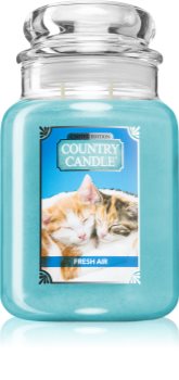 Country Candle Fresh Air Kitten scented candle