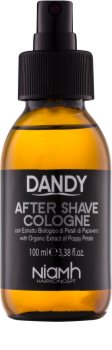 DANDY After Shave voda za po britju