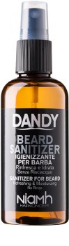 DANDY Beard Sanitizer spray disinfettante senza risciacquo per barba