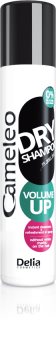 Delia Cosmetics Cameleo Trockenshampoo für mehr Volumen