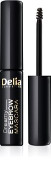 Delia Cosmetics Eyebrow Expert maskara za obrvi