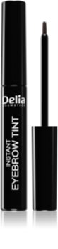 Delia Cosmetics Eyebrow Expert farbka do brwi