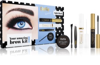 Delia Cosmetics Eyebrow Expert Light Black Gift Set  voor Wenkbrauwen