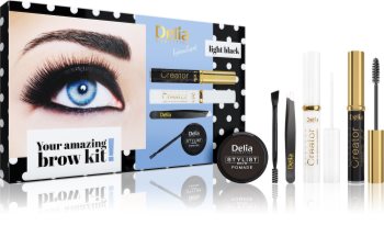 Delia Cosmetics Eyebrow Expert Light Black set cadou pentru sprancene