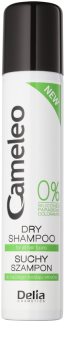 Delia Cosmetics Cameleo Dry Shampoo with Volume Effect