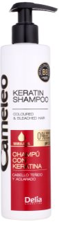 Delia Cosmetics Cameleo BB champô de queratina para cabelo pintado e com madeixas