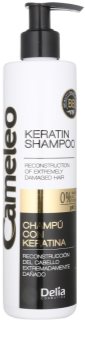 Delia Cosmetics Cameleo BB Keratin Shampoo For Damaged Hair
