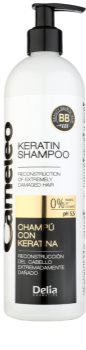 Delia Cosmetics Cameleo BB Sampon cu keratina pentru par deteriorat