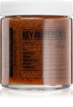 Detox Skinfood Key Ingredients reinigendes Hautpeeling