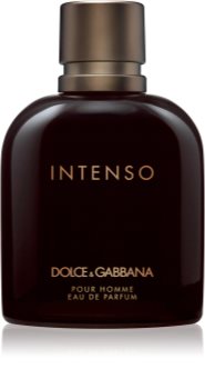Dolce & Gabbana Pour Homme Intenso parfumovaná voda pre mužov