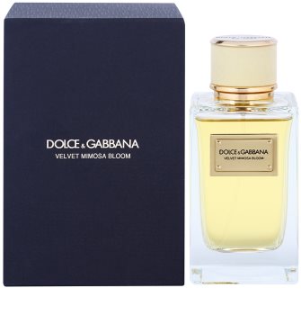 velvet mimosa dolce gabbana