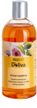 Doliva Basic Care champô regenerador
