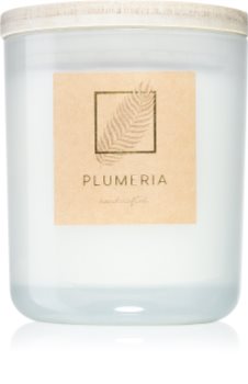 DW Home Plumeria Tuoksukynttilä