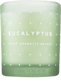 DW Home Eucalyptus vonná svíčka
