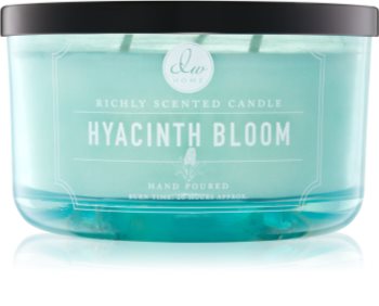 DW Home Hyacinth Bloom vonná sviečka