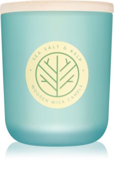 DW Home Sea Salt & Kelp vonná sviečka 320,49 g s dreveným knotom