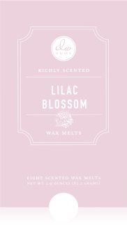 DW Home Lilac Blossom Tuoksuvaha