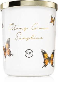 DW Home Citrus Grove Sunshine mirisna svijeća