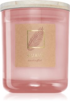 DW Home Tropic Guava candela profumata