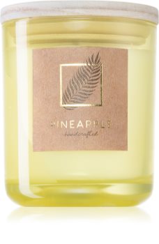 DW Home Tropic Pineapple vonná svíčka