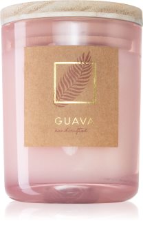DW Home Tropic Guava scented candle