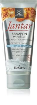 Farmona Jantar Amber Extract & Clay das Reinigungsshampoo für trockenes und zerbrechliches Haar