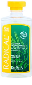 Farmona Radical Dry & Brittle Hair champô restruturante