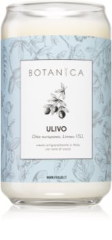FraLab Botanica Ulivo bougie parfumée